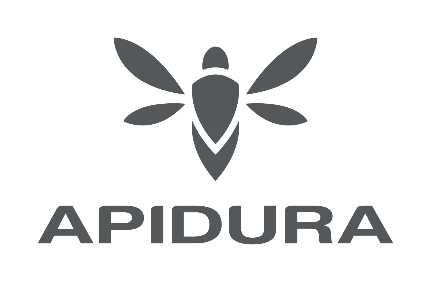 Apidura Ltd